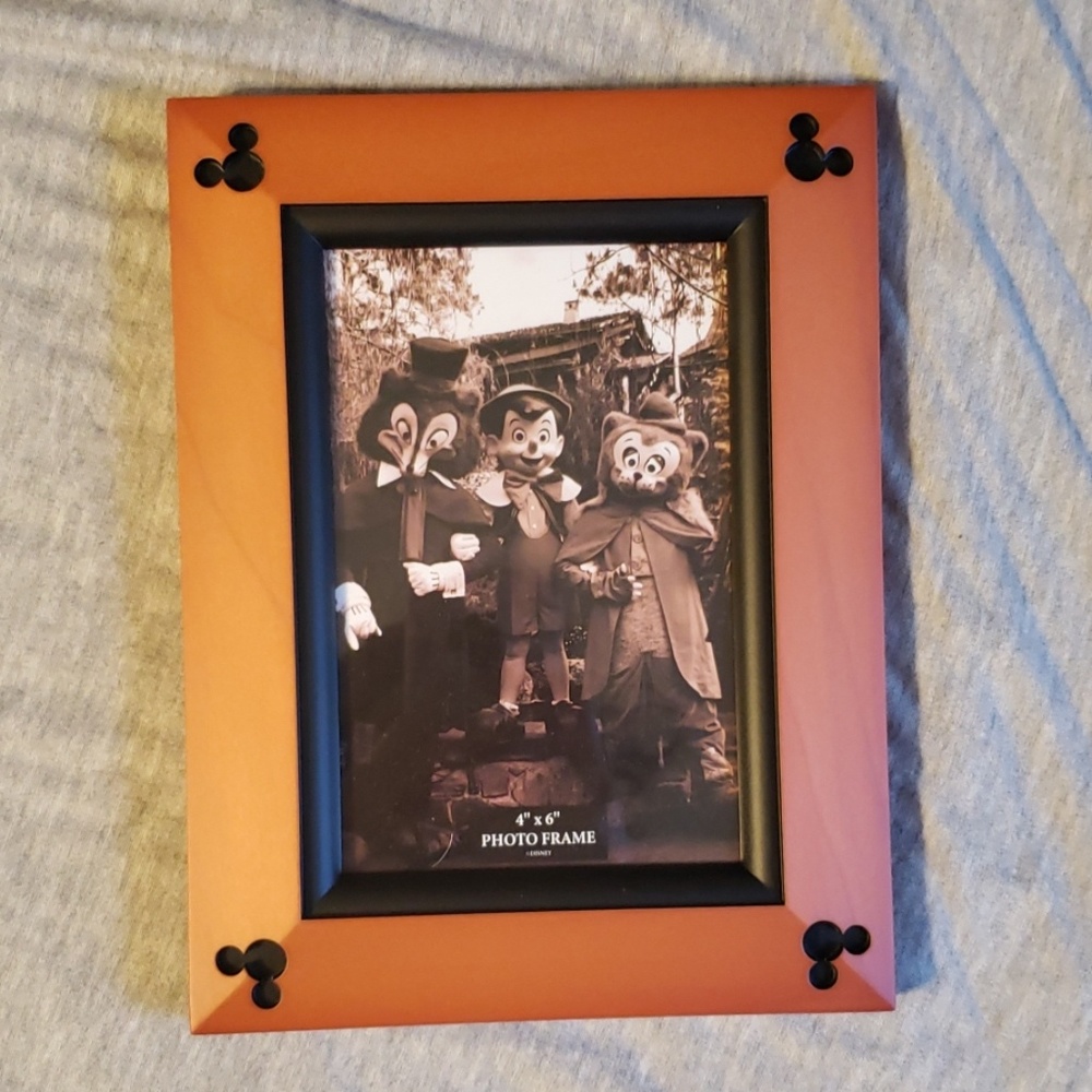 4 × 6 Disney Frame